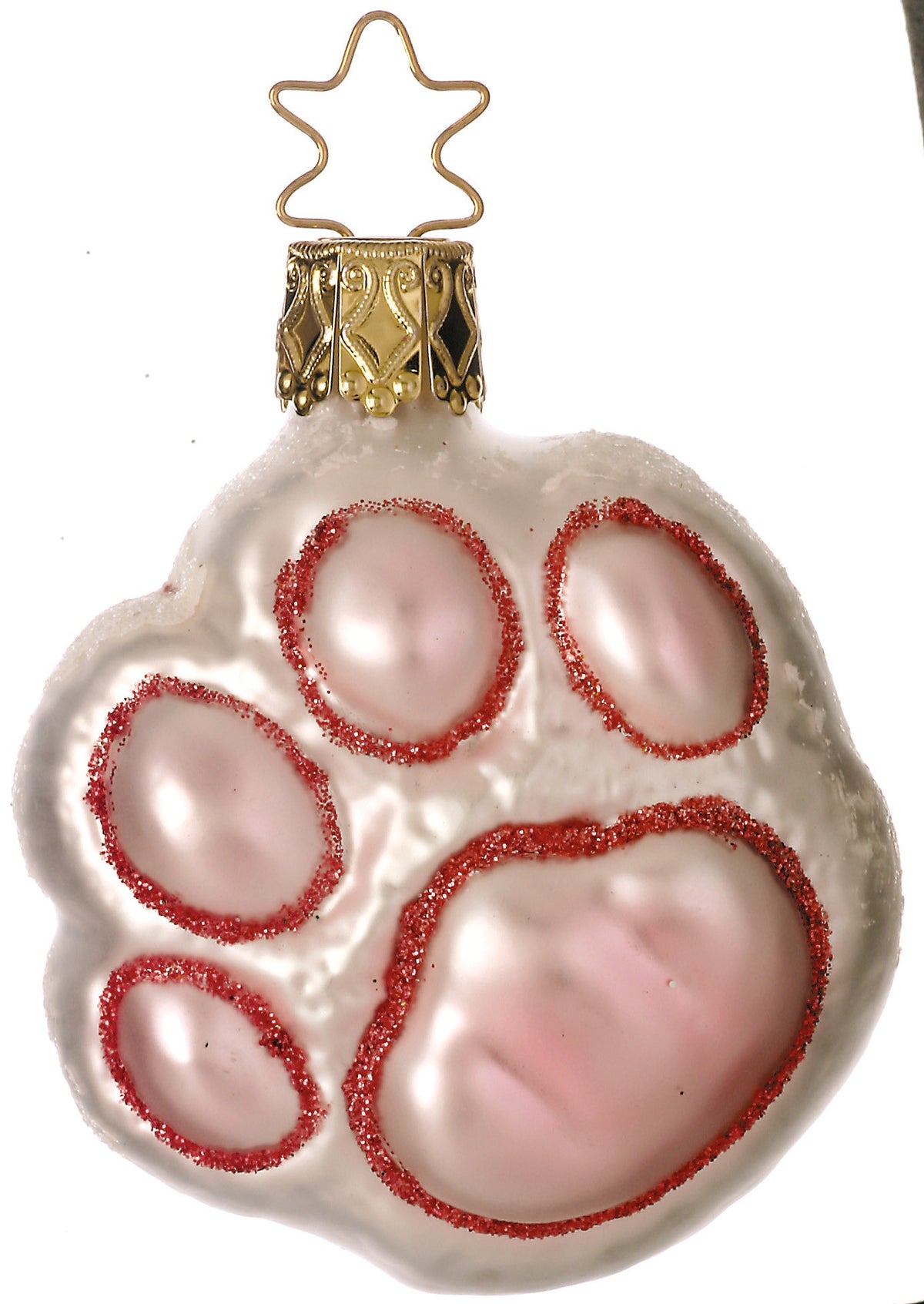 Kitty Paws