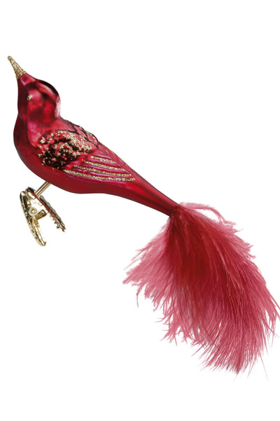 Festive  Bird