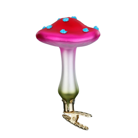 Misty Veil Mushroom