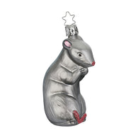 Rat