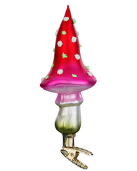 Glowing Colour Fungus