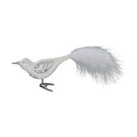 Magnificent Feathers