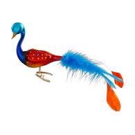 Magnificent Feathers