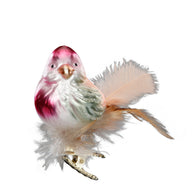 Gentle Feathers