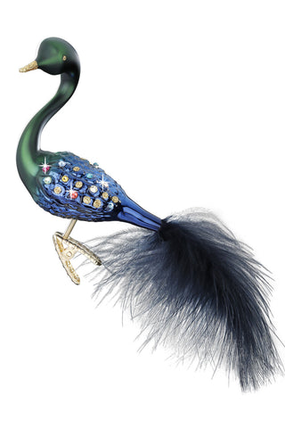 Sparkling Peacock