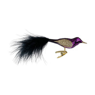 Elegant Feathers