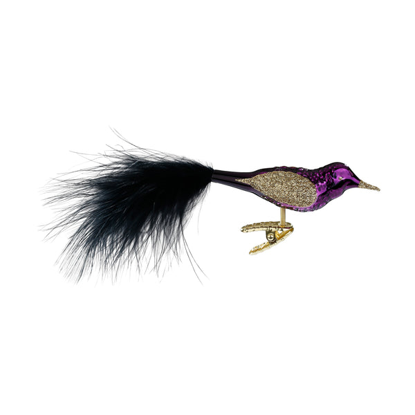 Elegant Feathers