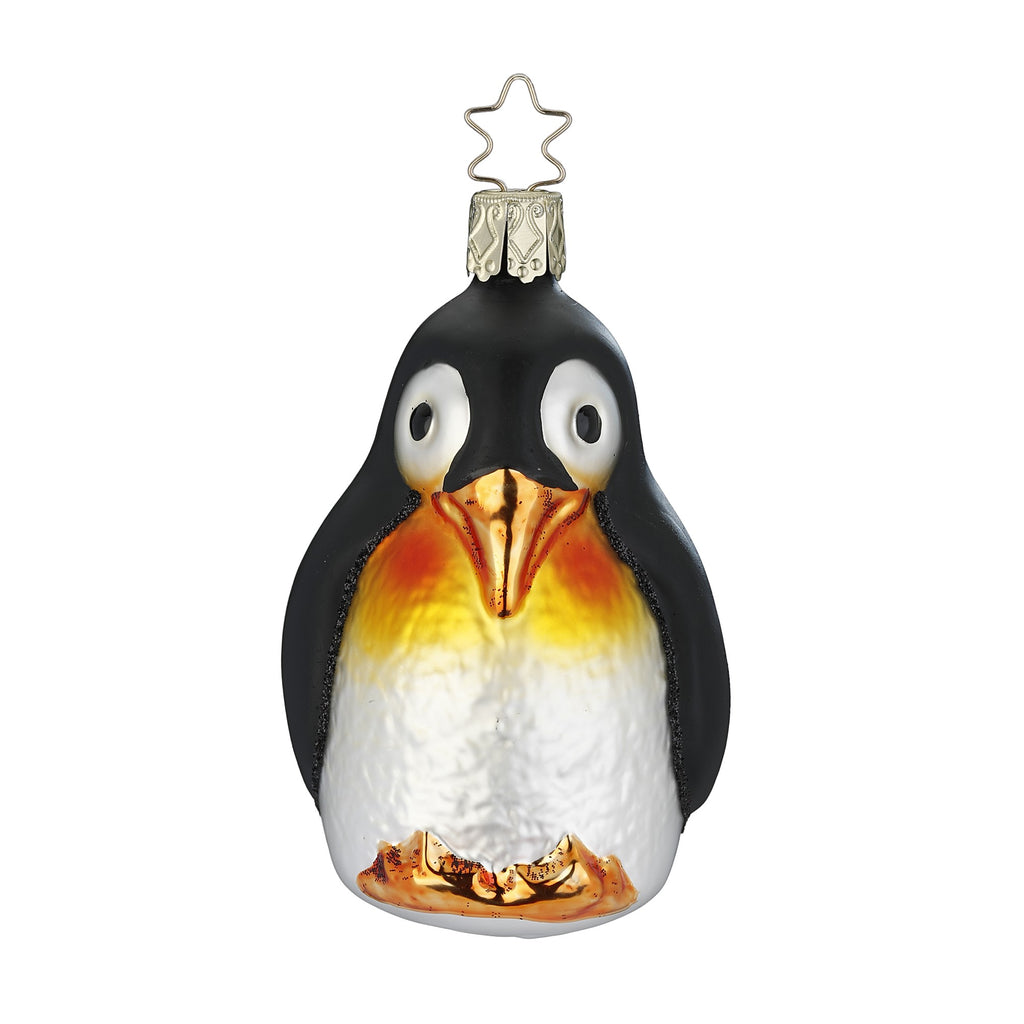 Emperor Penguin – Christmas On The Beach