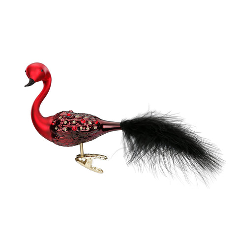 Peacock Splendor (Elegant Passion)