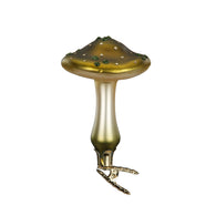 Meadow Mushroom