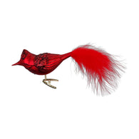 Sparkling Cardinal