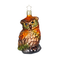 Wood Owl