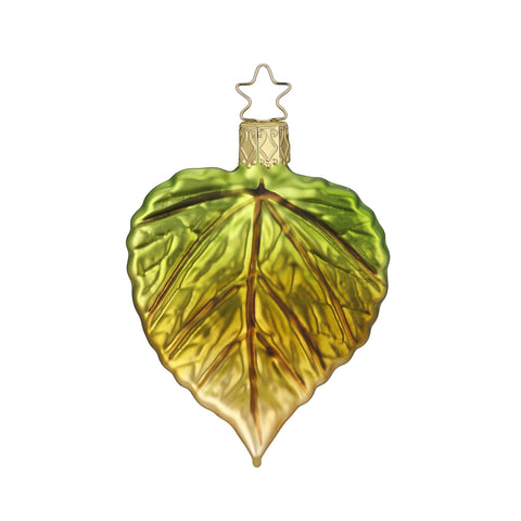 Linden Leaf