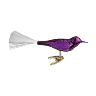 Bird Royal Violet