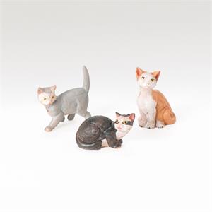 Cat Family