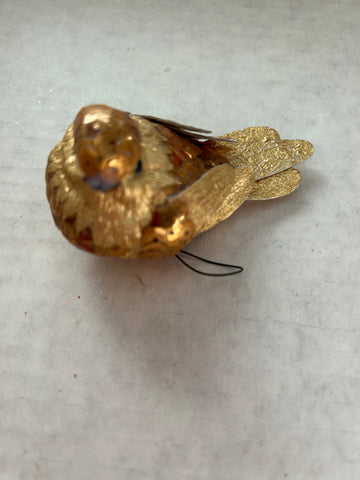 Gold Bird