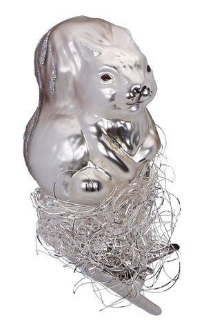 Silver Baby Squirrel