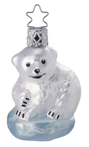 Baby Ice Bear