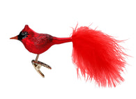 Crimson Cardinal