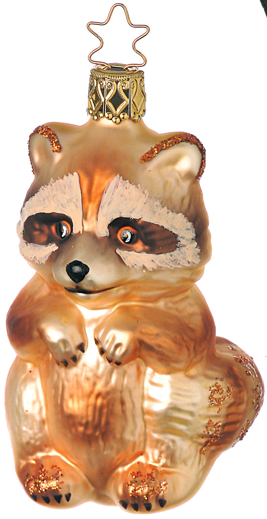Rocky Raccoon