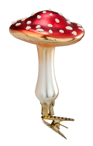 Flat Top Mushroom