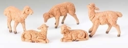 Sheep