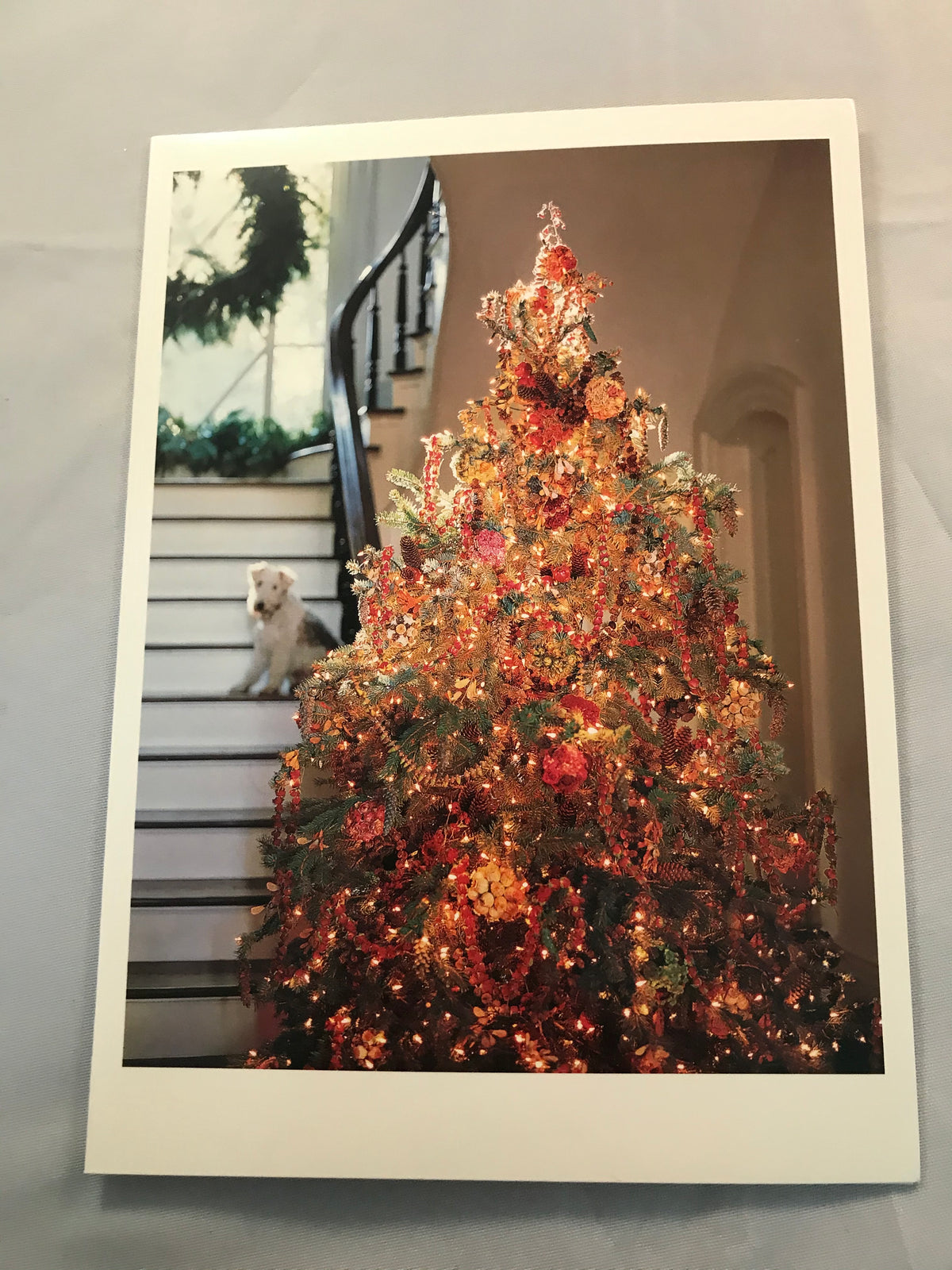 Christmas Card